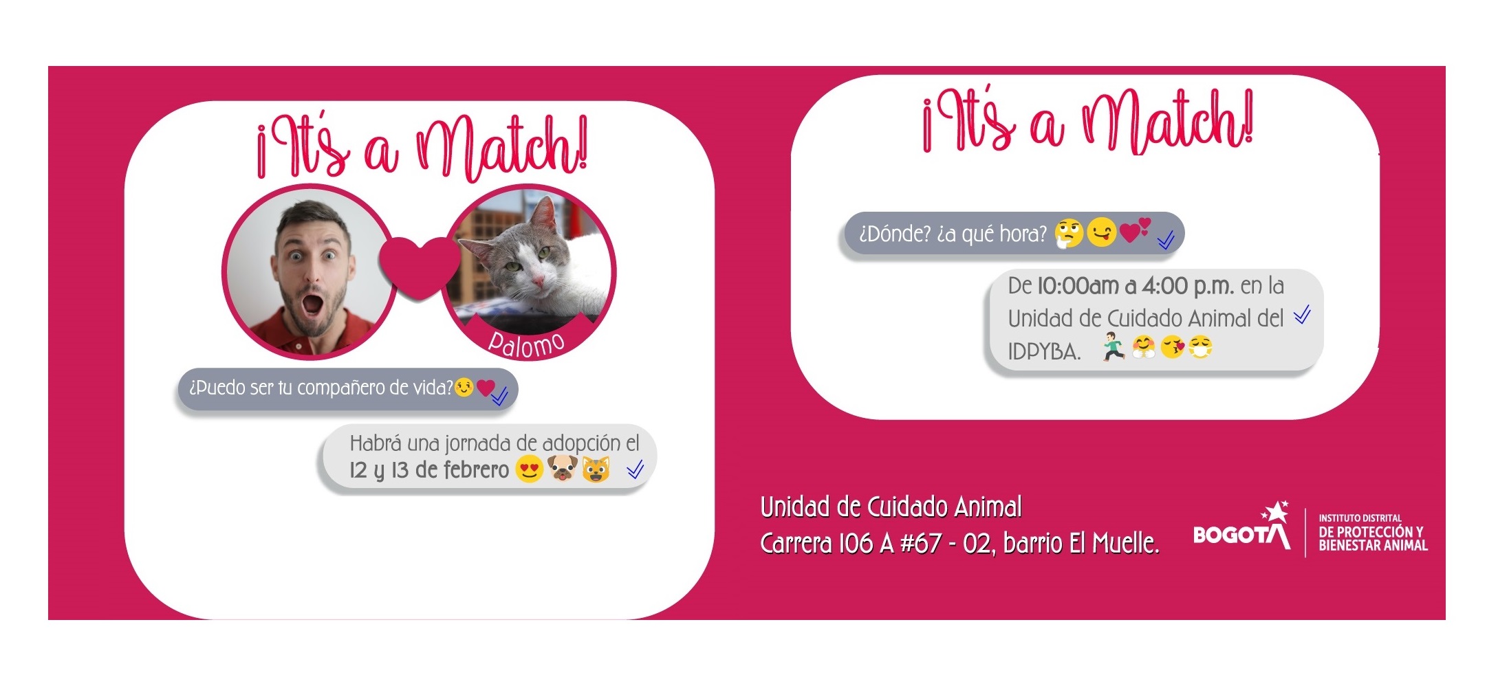 Jornada de adopción de animales en Bogotá este domingo 19 de febrero