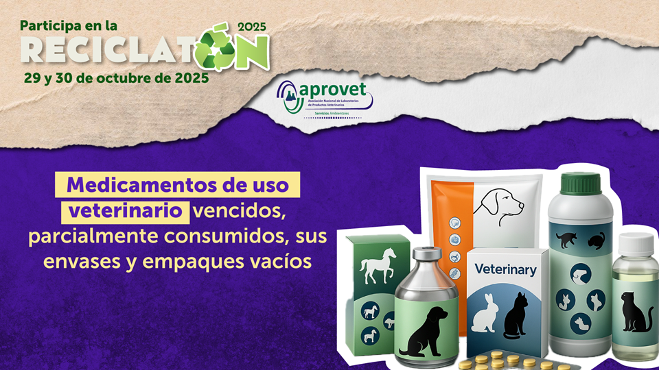 2Reciclatón-para-alcaldía